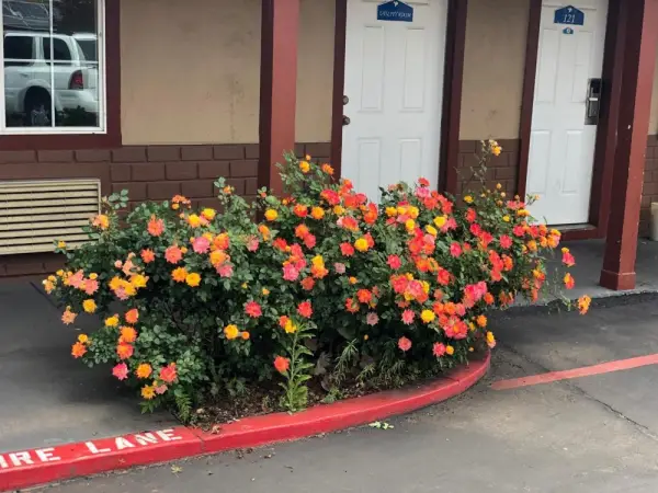 Haven Inn of Chico 8